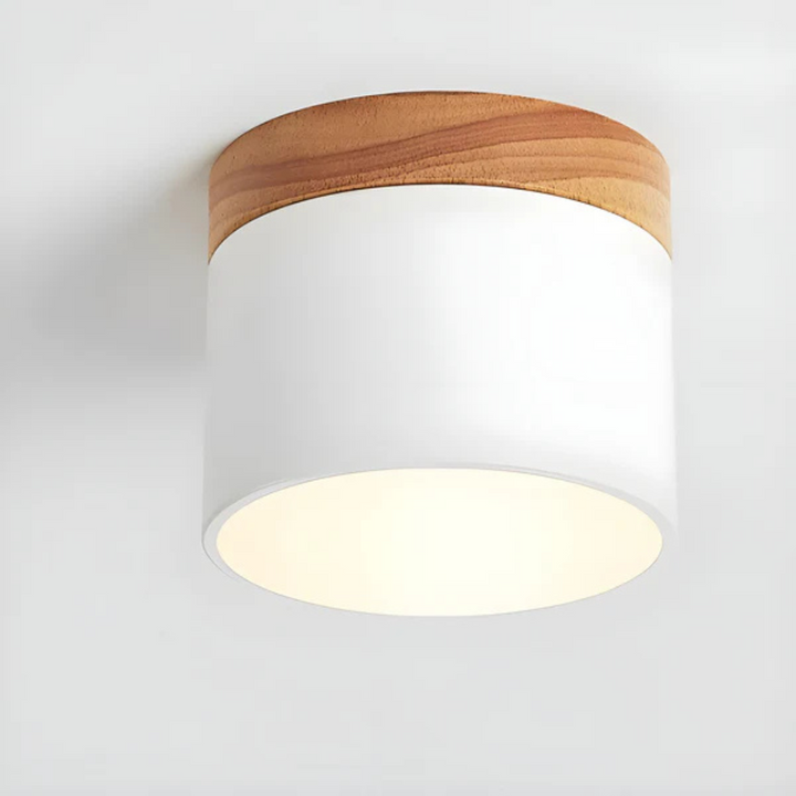 Led Deckenleuchte | Stilvolle Metall-Leuchte
