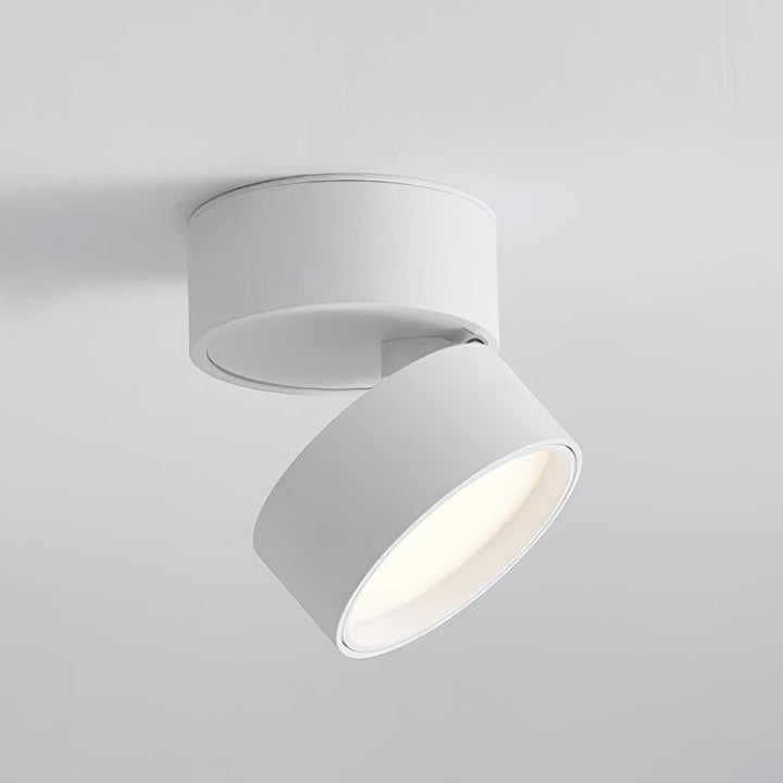 Deckenlampe Favilla Surface