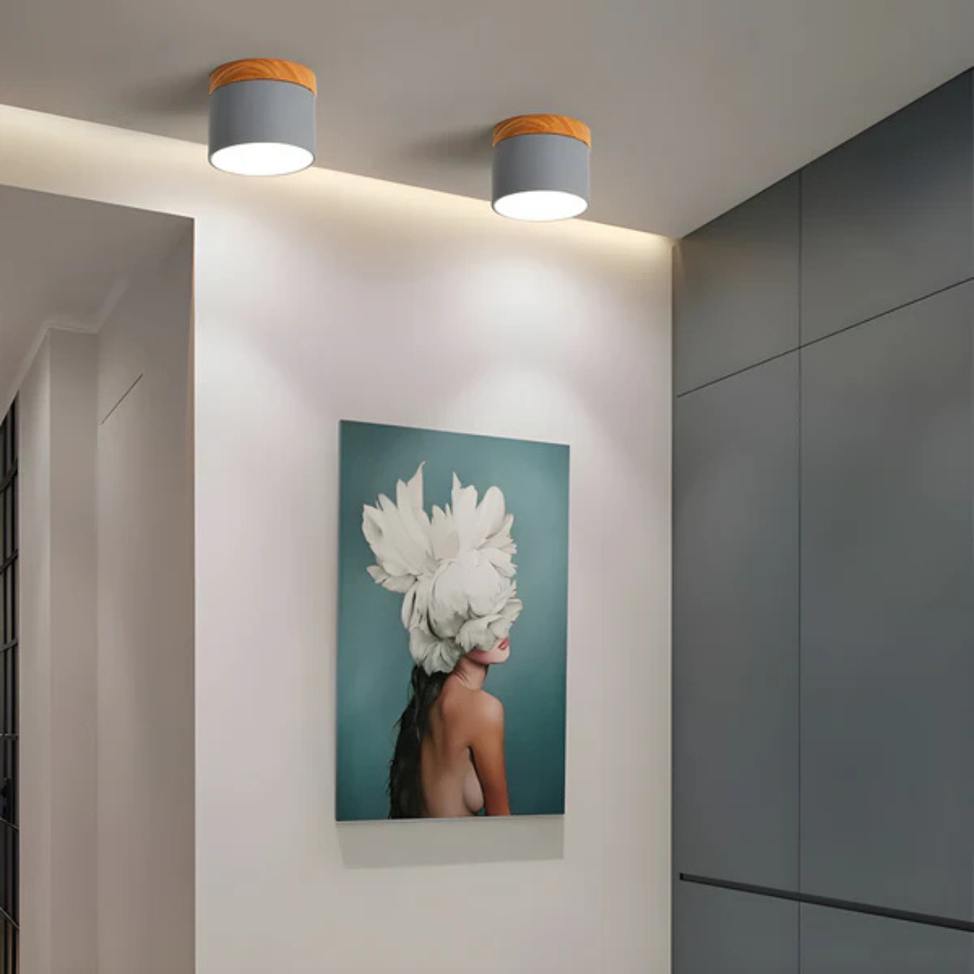 Led Deckenleuchte | Stilvolle Metall-Leuchte