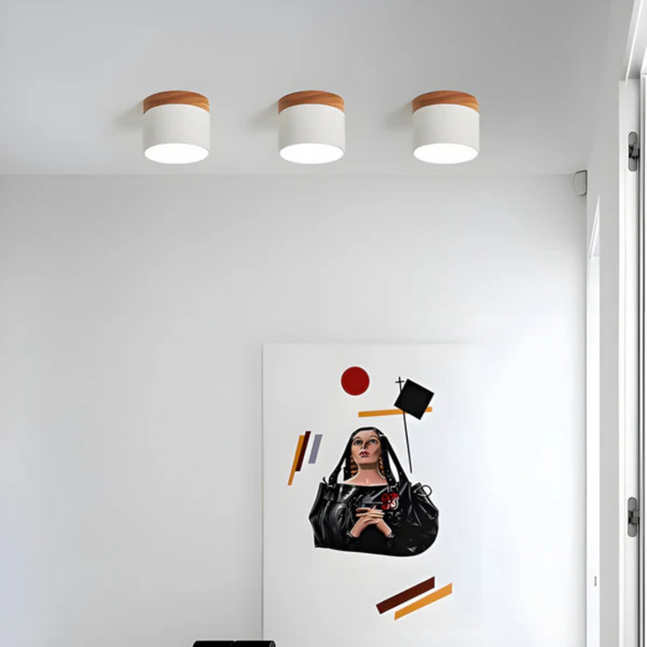 Led Deckenleuchte | Stilvolle Metall-Leuchte
