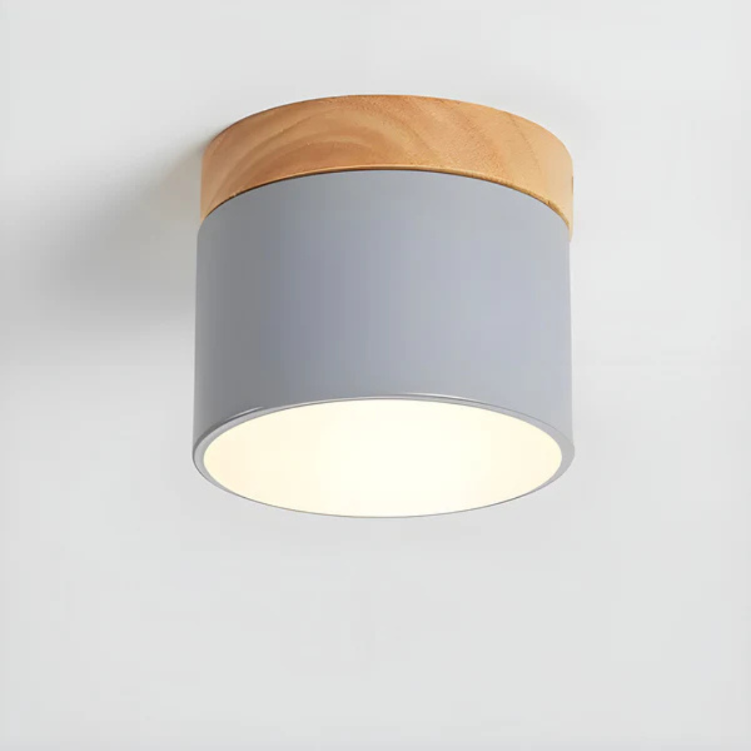 Led Deckenleuchte | Stilvolle Metall-Leuchte