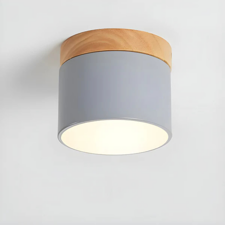 Led Deckenleuchte | Stilvolle Metall-Leuchte