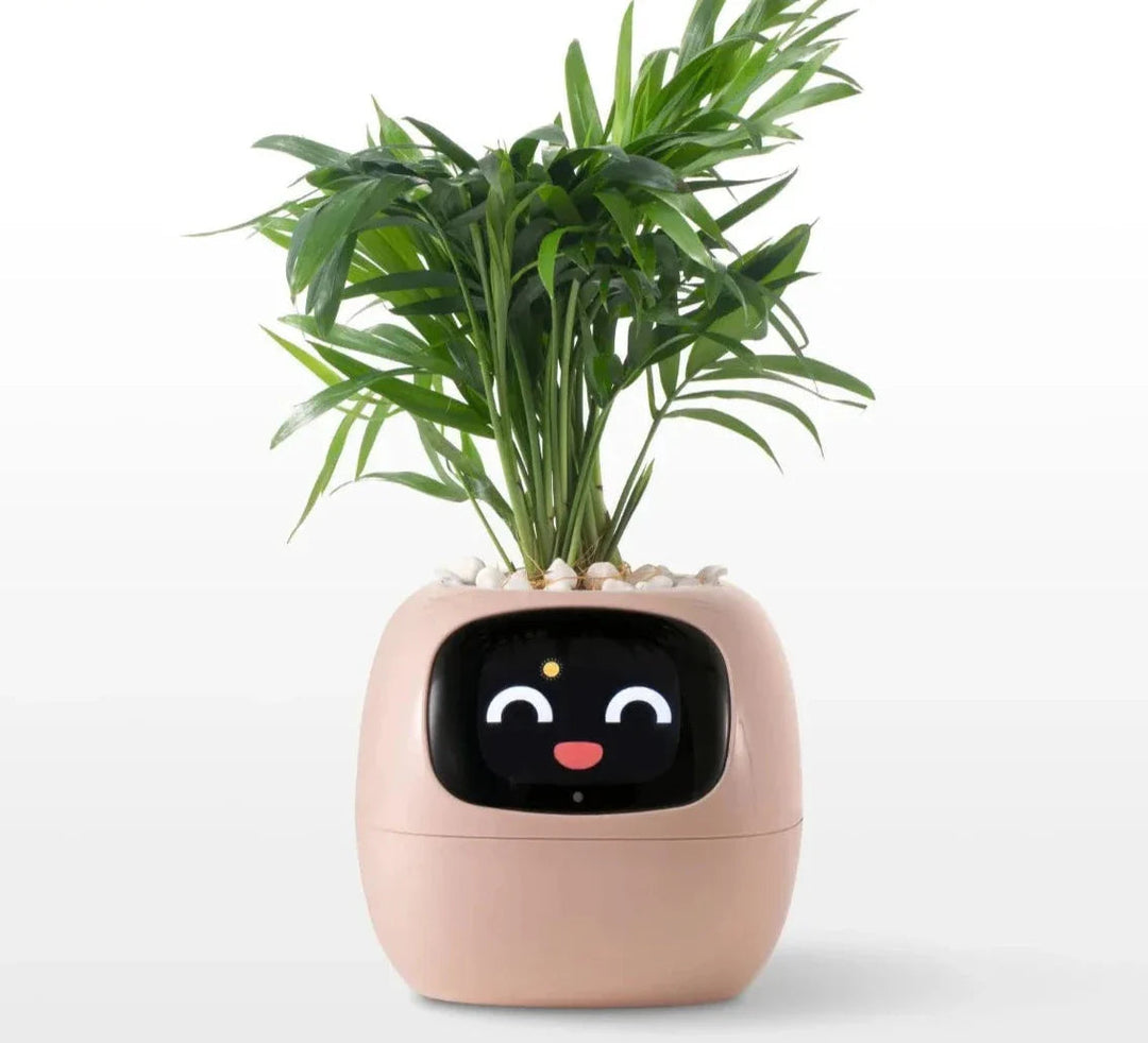 Interaktiver Blumentopf | Kreativ