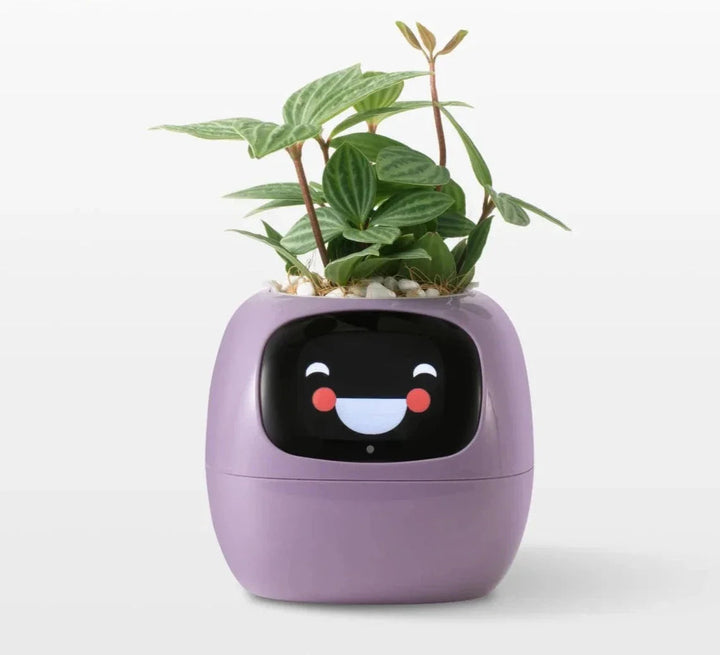 Interaktiver Blumentopf | Kreativ
