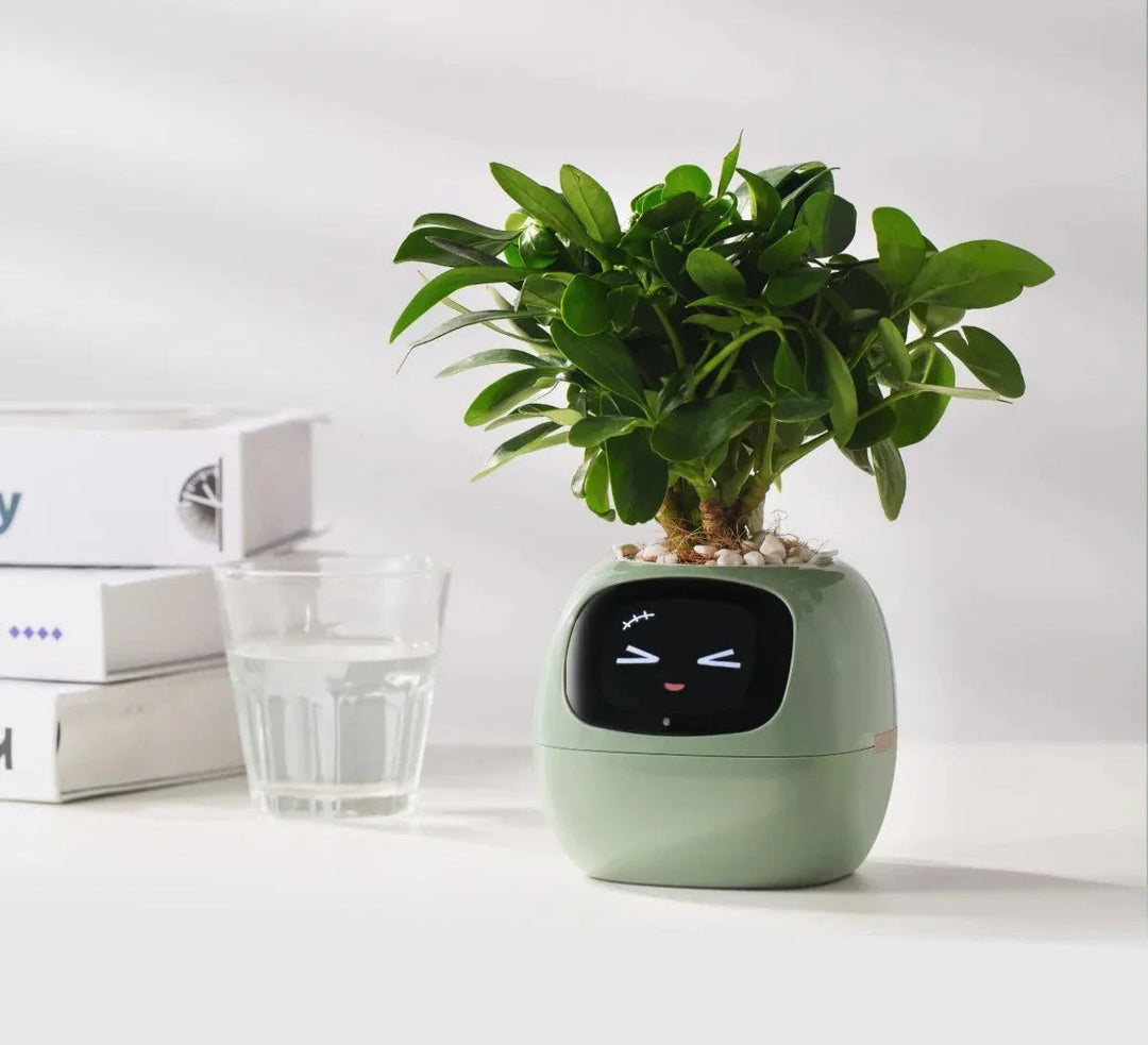 Interaktiver Blumentopf | Kreativ