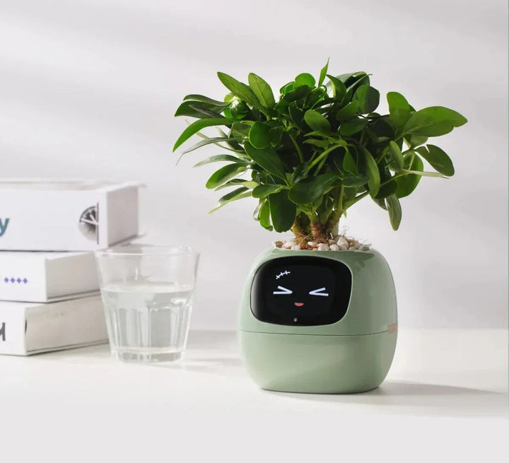Interaktiver Blumentopf | Kreativ