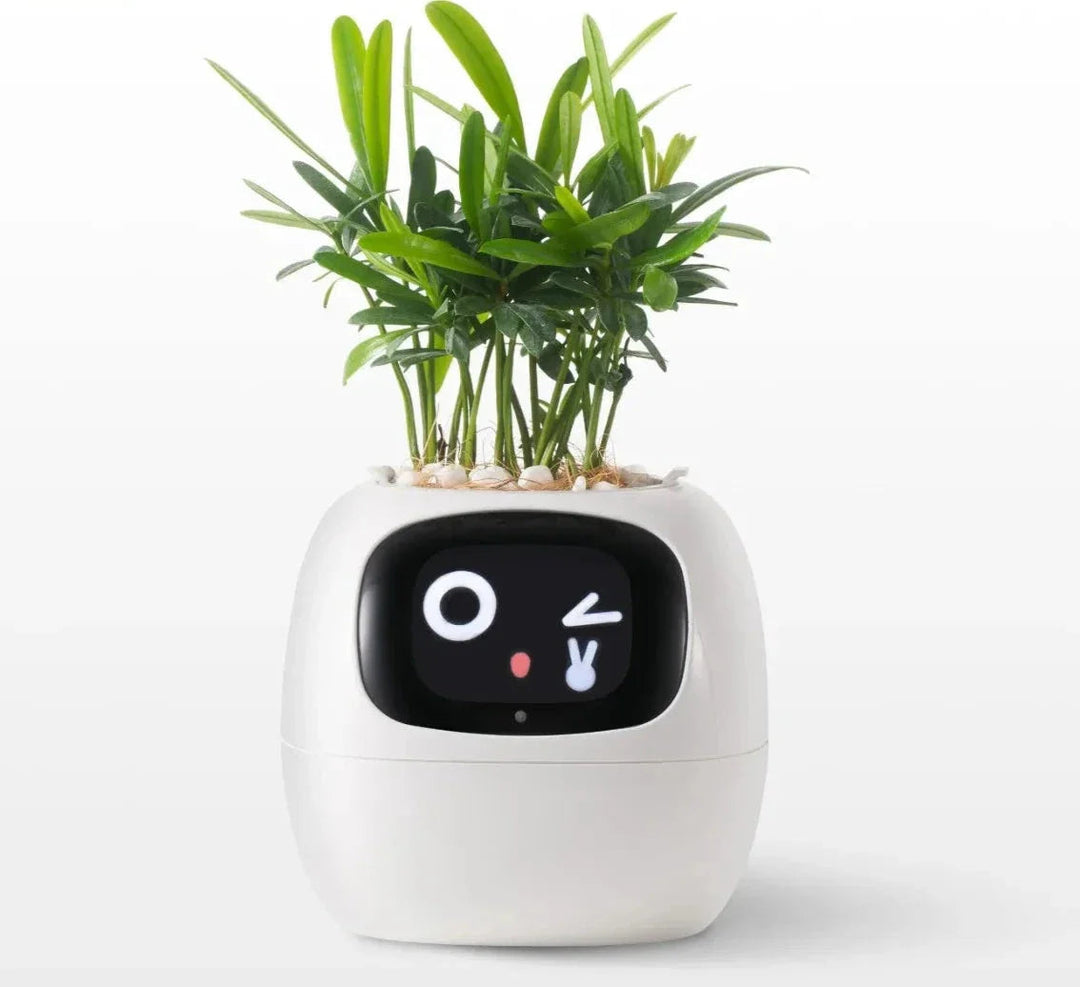 Interaktiver Blumentopf | Kreativ