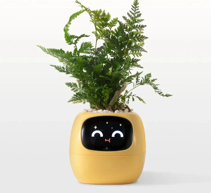 Interaktiver Blumentopf | Kreativ