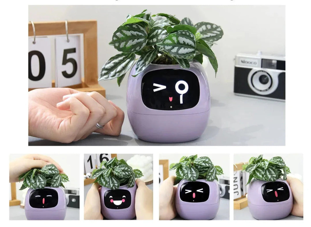 Interaktiver Blumentopf | Kreativ