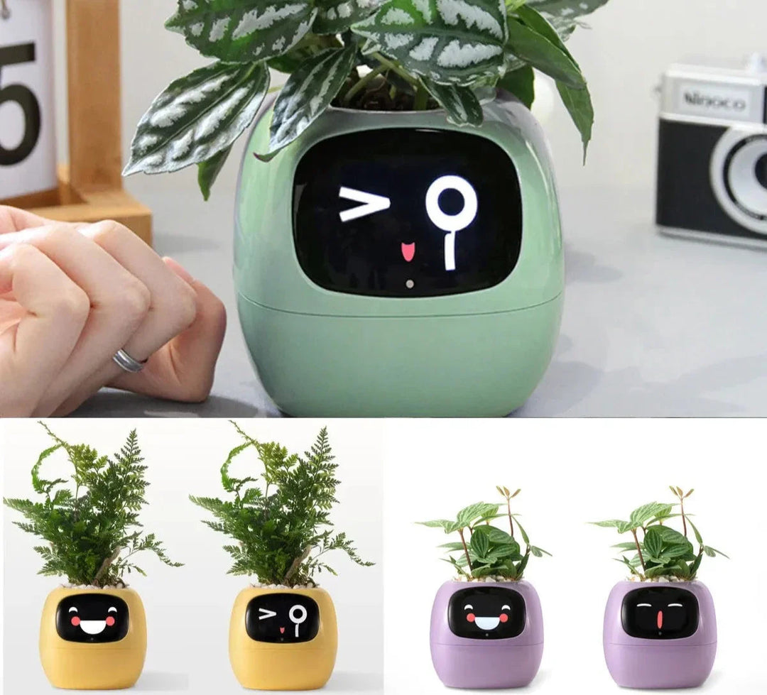 Interaktiver Blumentopf | Kreativ